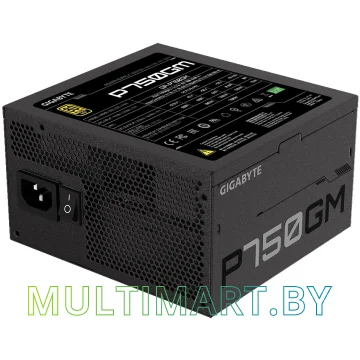 Блок питания Gigabyte P750GM 750W (GP-P750GM) картинка 4